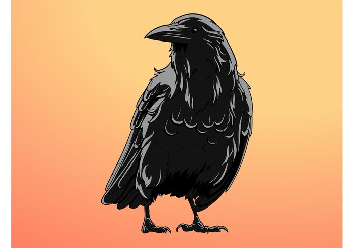 wings T-shirt print nature feathers crow comic cartoon bird beak animal 