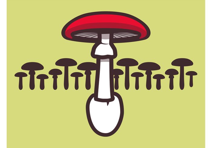 toadstool stylized stem silhouettes Shroom restaurant outlines organic nature mushrooms menu fungi food Edible cap 