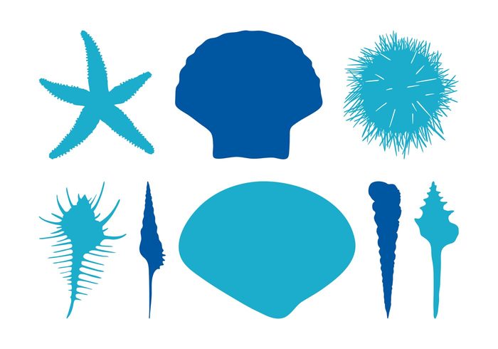 vacation snails silhouettes shells seaside seashells seashell Sea snail Sea hedgehog marine Crustaceans Clams clam animals animal  
