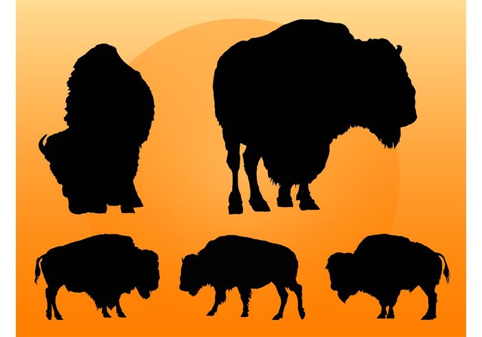 wildlife wilderness wild west wild walk stickers stand eat decals cows Buffalos Buffalo vectors animals American buffalo 