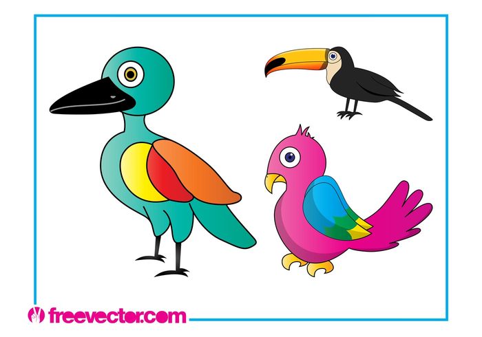 tropical toucan parrots parrot nature mascots feathers exotic comic characters cartoon birds bird beaks animals 