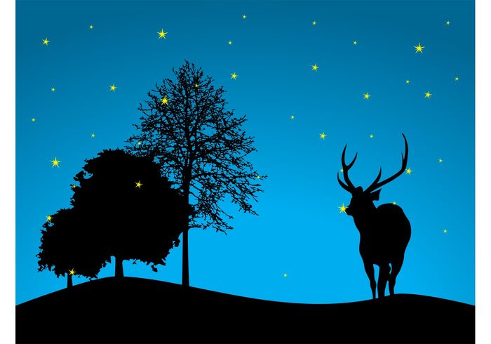 wildlife wilderness wallpaper trees stars sky reindeer night nature forest flora fauna deer background antlers animal 