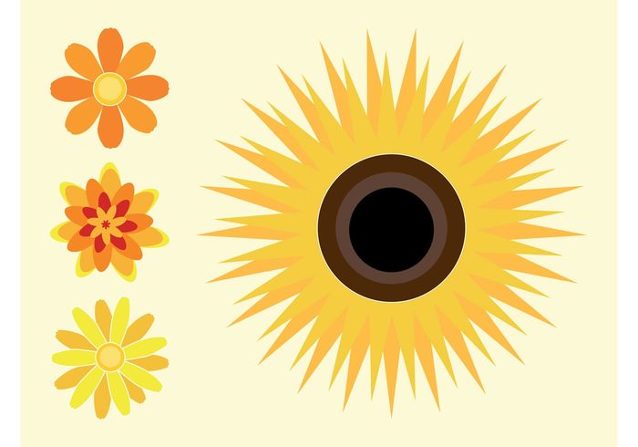 sunflowers Sunflower vectors summer stickers spring plants petals nature logos icons flowers floral eco blossom bloom 