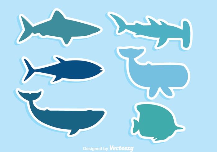 wild whale water swimming swim silhouette sharks shark silhouettes shark silhouette shark shape shark sealife sea predator ocean marine life hammerhead fish deep carnivor blue animal 