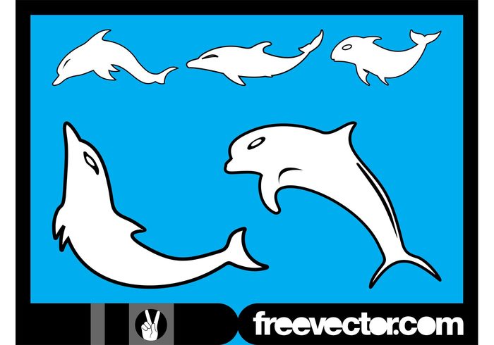 swimming swim stylized sea ocean nature marine Mammals jump fauna dolphins dolphin Aquatic animals animal 