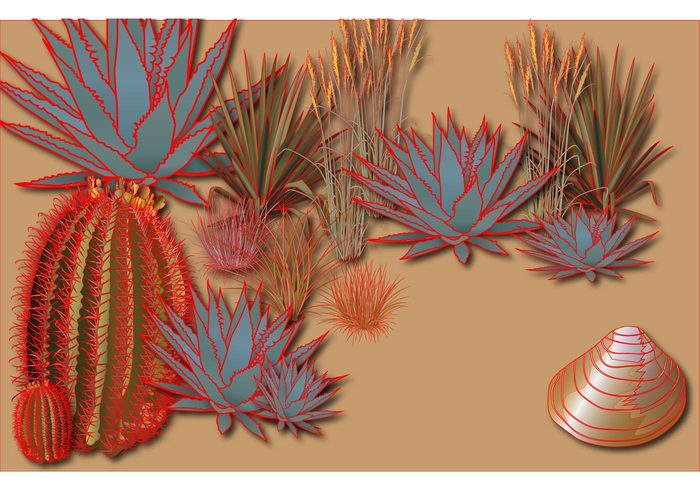 succulent plants cactus agave succulent agave plant agave 