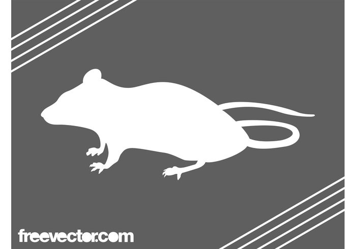White mouse tail silhouette rodent rat Pest nature mouse House mouse fauna animal 