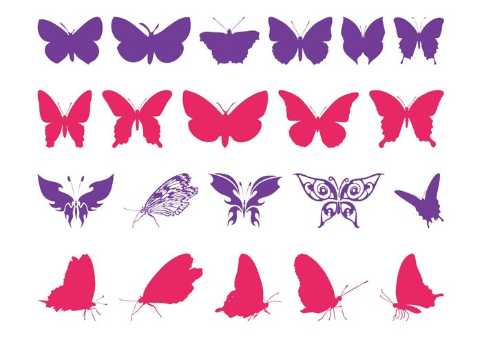 wings spring silhouettes legs insects insect fly butterfly butterflies antennas animals 
