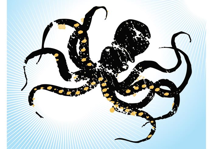 Zoo tentacles sucker sketch sea print paint old ocean marine grunge graffiti engraving Biology Aquatic animal 