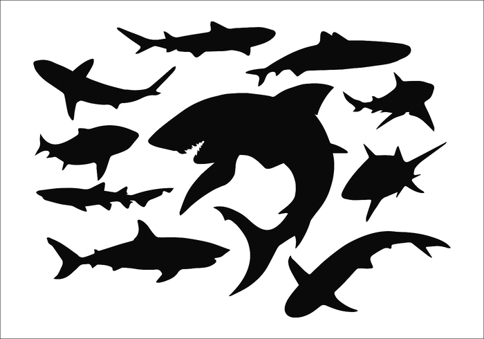 Download Cute Shark Svg Silhouette Free - Layered SVG Cut File