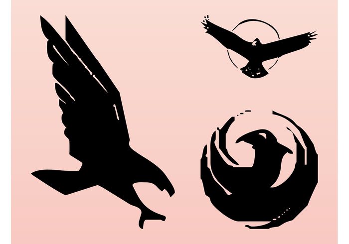 Vulture stickers silhouettes phoenix nature logos icons fly falcon eagle decals birds animals 