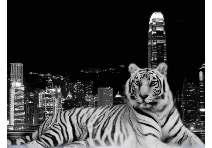 wallpaper urban tiger skyscrapers nightlife night Lying lights cool city scape city bright background animal 