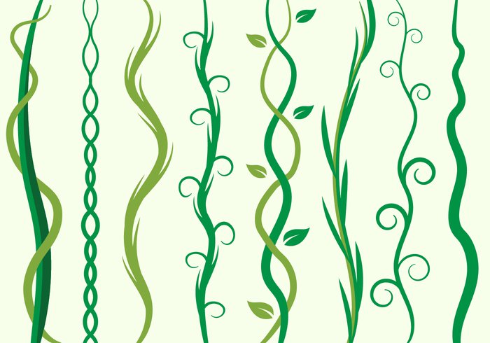 tropical shape plant pattern ornament natural liana leaf jungle illustration green garden decoration branch background 