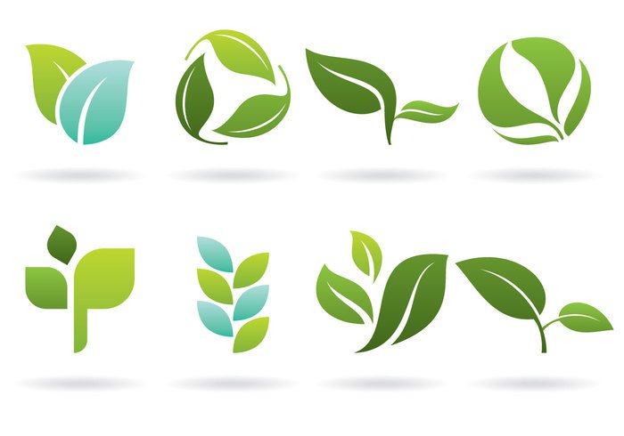 vector symbol spring silhouette set plant organic nature natural logo leave leaf isolated illustration icon hojas green flora environment element ecology eco design concept bio background abstract 