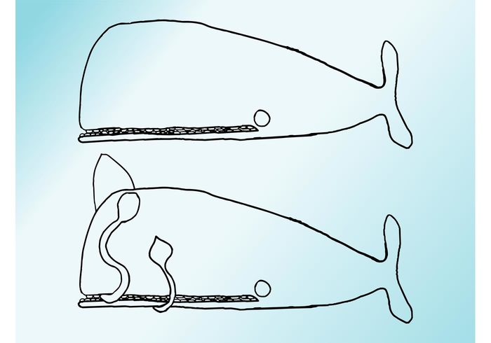 whales whale sea ocean nature marine hand drawn fauna doodles doodled Aquatic animals animal 