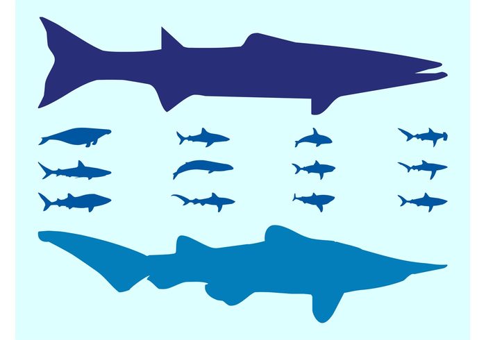 whales whale silhouettes sharks shark sea ocean nature marine Hammerhead shark fish Aquatic animals animal 