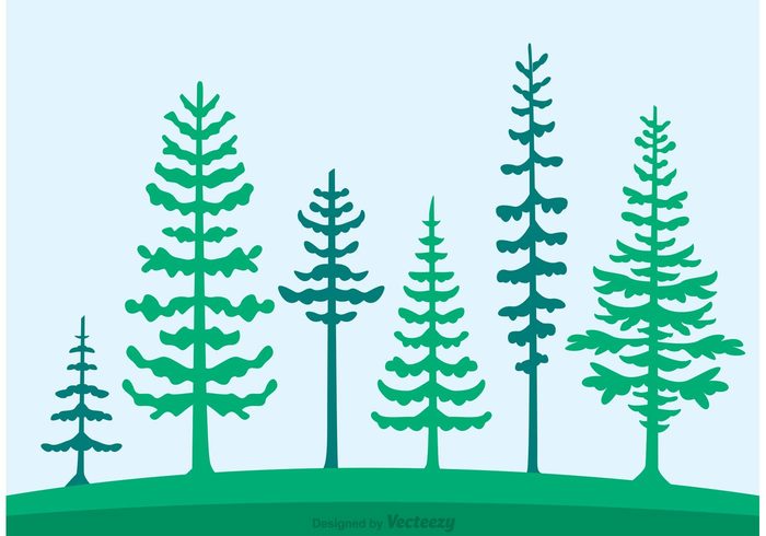 woods wood tree silhouette tree silhouette rolling hills rolling hill plant pines pine tree nature landscape hill forest silhouette forest background forest flora cedar trees cedar tree silhouette cedar tree cedar 