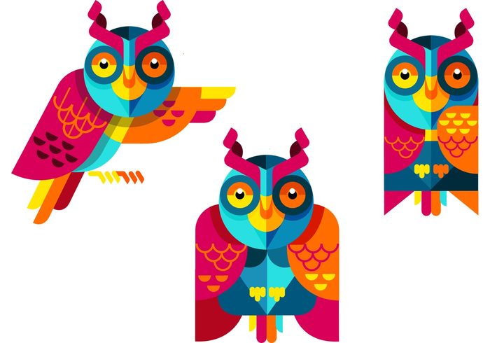 wild owls owl nocturnal animal Nocturnal nature isolated cute character cartoon bright bird bright bird animal 