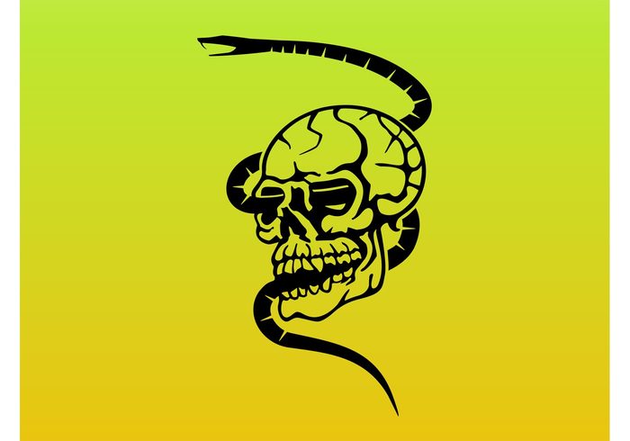 viper traditional tattoo designs tattoo t-shirt design stickers snake skull skeleton punk Flash decals apparel animals 