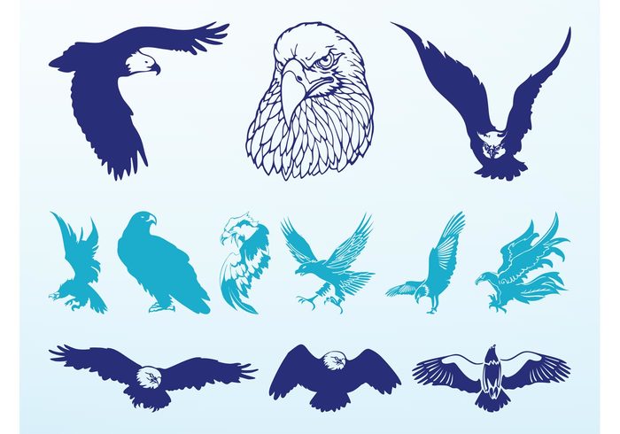 wings silhouettes nature flying fly feathers eagles eagle birds bird animals animal angry 