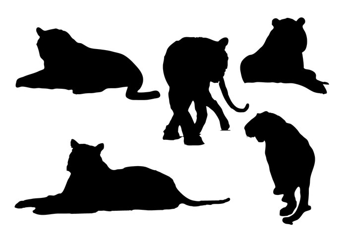 tiger silhouette tiger tail symbol strength sneak silhouette set safari nature india icon hunting fur Feline fauna design collection chinese cat black big astrology art animal abstract 