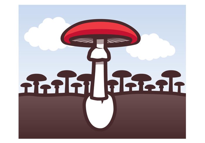 toadstool plant organic nature natural mushroom fungi blueshift amanita 