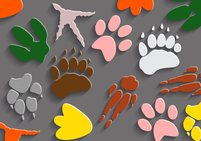 yellow wolf vector trace tiger texture shadow pink pet penguin paw orange lots of legs kangaroo imprint green gray background gray footprint dinosaur footprints dinosaur footprint dinosaur different tracks different paws chicken cat burgundy brown bear background 