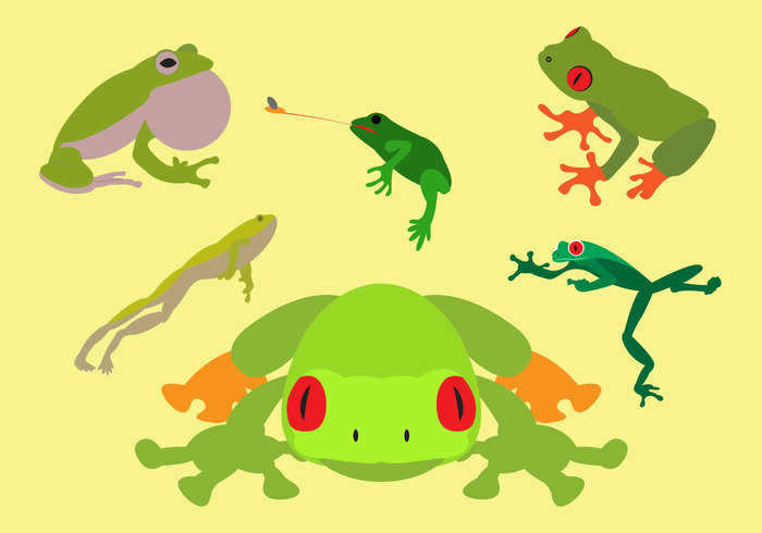 wildlife tropical tree frog tree toes Toad Slippery reptile red-eyed red rain orange nature jumping green tree frog green frog green frog forest fly eyed animal amphibian 
