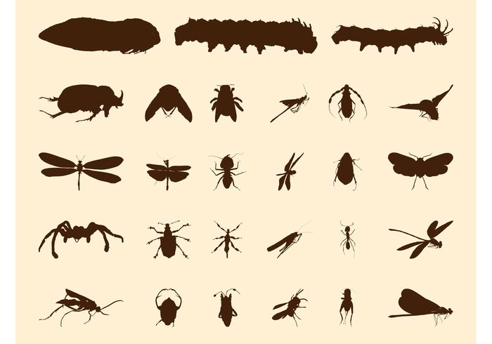 wings silhouettes silhouette Pests nature insects fly fauna dragonfly caterpillar bugs bug ants ant animals 