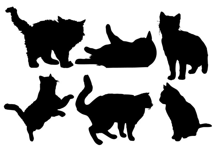walking sleeping sketch silhouette shape set pets objects mammal kitten isolated image group Feline element Domestic collection cat black animal 