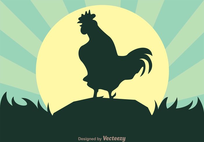sun stone roosters rooster silhouettes rooster silhouette rooster crowing rooster poultry morning landscape grass Fowl field farming farm sunburst farm background farm Crows crowing chicken 