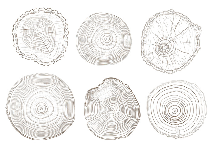 wooden wood white watercolor wallpaper trunk tree rings tree ring tree timber texture Surface stump striped Split slice shape section round rough ripple ring print plant pine paint organic Nobody nature natural material lumber Log line life isolated height handcraft growth fractal forest draw design cut CONCENTRIC circular circle brown background Annual Age 