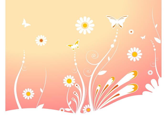 Tender sweet summer spring soft romantic nature vector flower decoration daisy butterfly 