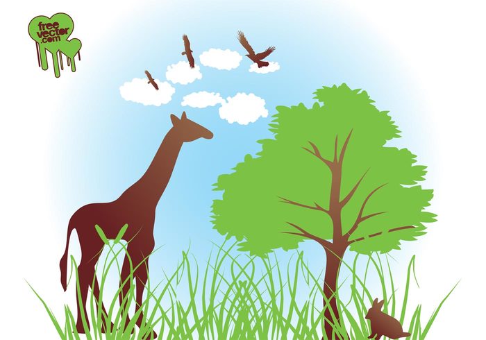 Vultures tree silhouettes rabbit plants nature grass giraffe fauna bunny birds animals african africa 