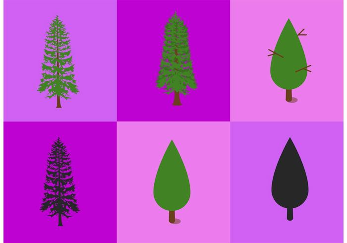 wood trees tree simple trees simple tree roots plant nature Mother Earth leaves green forest environment earth cedar trees cedar tree cedar abstract tree abstract cedar tree 