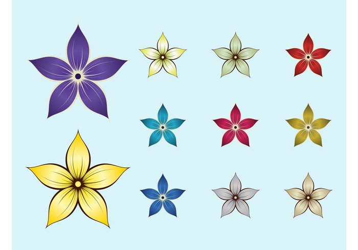 spring petals nature icons flowers floral ecology decorative decorations colors colorful bloom 