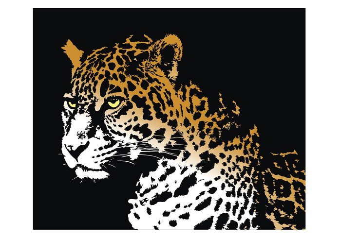 Zoo wildlife wild vector graphics panther nature leopard jungle jaguar illustrator illustration design Dangerous clip art Arizona animals 