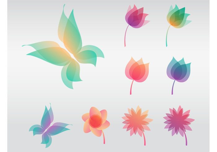 tulip spring pastel colors nature Minimal design insect flower floral daisy butterfly 