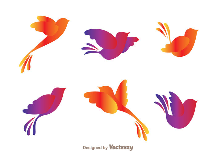 wing wildlife tail silhouette shape natural flying birds flying bird silhouettes flying bird silhouette Flying bird flying fly fauna colorful bird silhouette bird beauty 