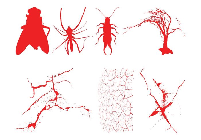 wings tree spider soil silhouettes nature insects grunge ground fly Earwig dry drought cracks animals 