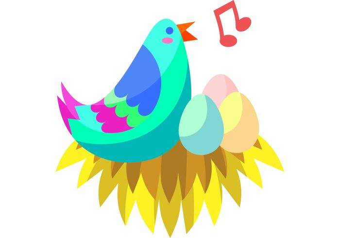 wing tweet Songbird Song bird singing bird singing nest nature eggs colorful bright birds bird in nest bird family bird 