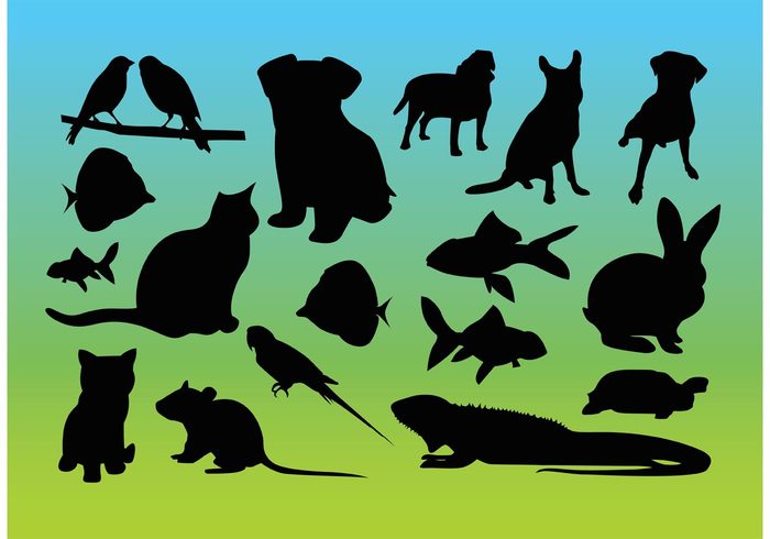 Zoo wildlife sky silhouette set sea reptile puppy pack nature Mammals kitten iguana gradient fishes fauna Domestic dog cool cat birds background animal 