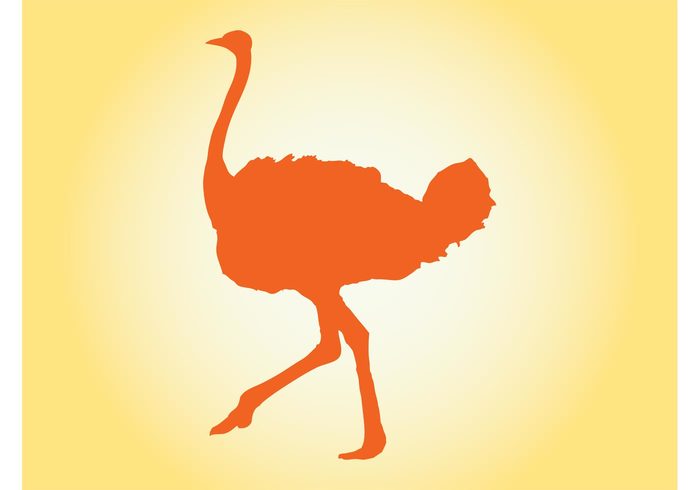Zoo wildlife wilderness walk silhouettes run Ostrich vector ostrich nature Flightless fauna farm bird animal african africa 