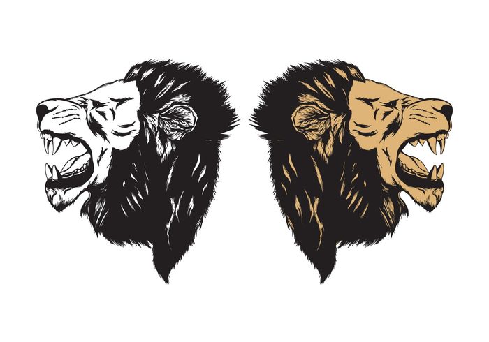 lion roar lion illustration lion head 