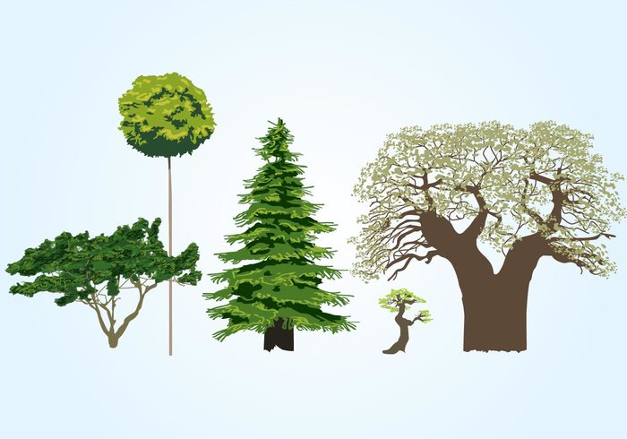 trees tree template objects nature natural green ecology eco brown 