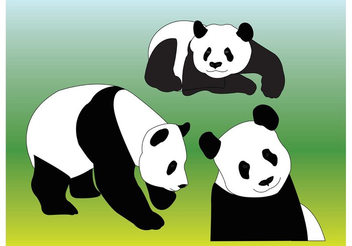 Zoo wildlife panda nature happiness Giant panda fun friendship cute chinese china character cartoon bear asia animal 