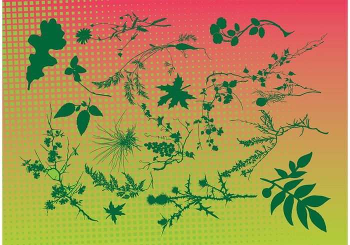 Vector freebies summer Stock images spring raster radiant plants leafs green garden forest Design footage backdrop 