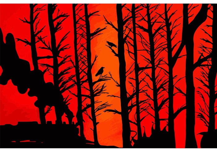 trees tree silhouette tree train sky silhouette shadow red forest silhouette forest 