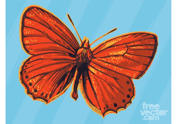 wings vintage spring red nature insect freedom free flying fly fauna decorative decorations card butterfly vector butterfly antennas animal 