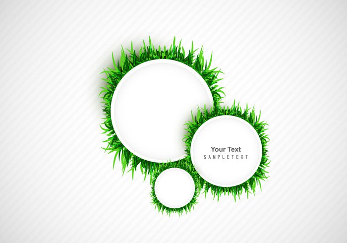 white variation stripes nature line growth green grass frame environment ecology circle card blank background 